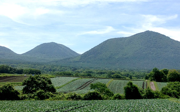 高原野菜の生産について