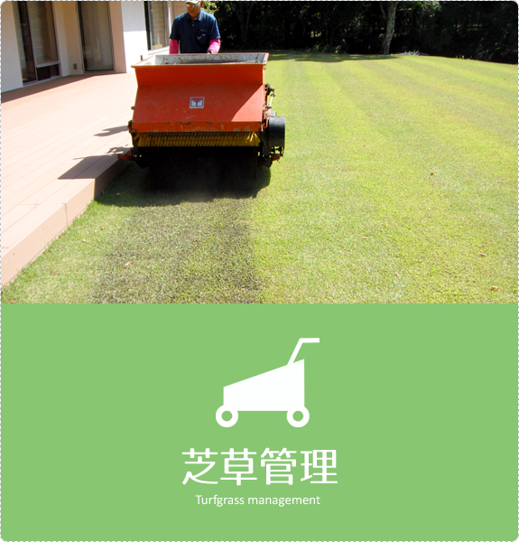 芝草管理